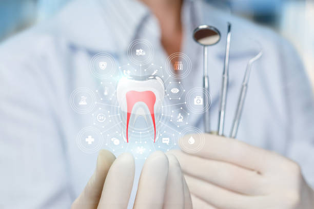 Best TMJ/TMD Treatment  in Balm, FL